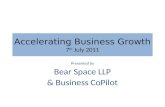Accelerating business growth BEAR SPACE