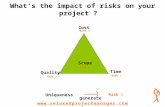 Whats the impact of risks on your project?