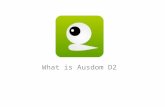 What is ausdom d2
