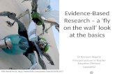 Evidence based research – a ‘fly on the