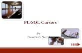 PLSQL Cursors