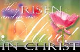 Worship Guide - Easter 2011 - 04/24/2011