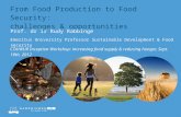 From Food Production to Food Security: