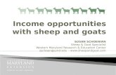 Income opportunities with sheep and goats