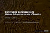 Cultivating Collaboration