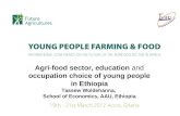 Woldehanna Agri-food sector, education and occupation choice of young people in ethiopia