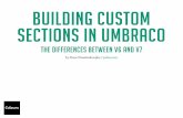 Building custom sections in Umbraco
