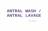 Antral Wash