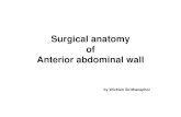 Abdomen Anatomy