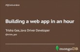 Build an AngularJS, Java, MongoDB Web App in an hour
