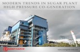 Sugar Plant High Pressure on