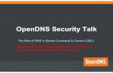 Role of DNS in Botnet Command and Control