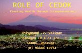 Role of Cedok 18.11