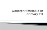 Wallgren timetable of primary tb