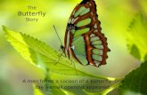 The Butterfly Story
