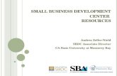 Small Business Development Center Resources Lng
