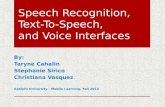 Speech Recognition, Text to Speech, and Voice Interfaces