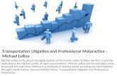 Transportation litigation and professional malpractice   michael le roy