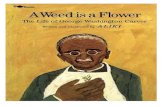 Weed As A Flower: Life of George Washington Carver