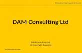 DAM Consulting Ltd