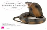 TNS - Prevailing 2013 Economic & Consumer Trends