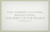 The Chinese Cultural Revolution: the Spirit of the People