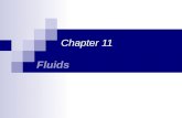 Ch 11 Fluids