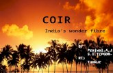Coir industries ( India's wonder fibre)
