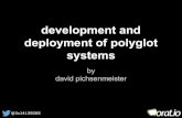 Development and deployment of polyglot systems