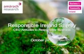 CEO Responsible Ireland survey 2012