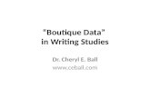 Boutique Data in Writing Studies