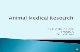 Animal Medical Research Presentation