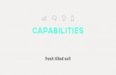 Fresh Tilled Soil UI Design | Capabilities & Value