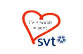 TV + Webb = sant  - Johan Wahlberg