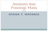 Anatomi Fisiologi Mata
