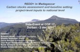 Holistic Conservation Programme for Forests in Madagascar
