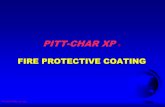 PPG Pitt Char Presentation