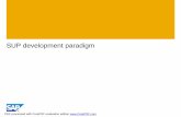 SUP Development Paradigm