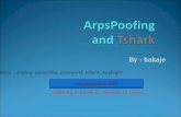 Arp-spoofing and Tshark