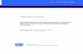 UNIDO Pharma Project Evaluation Report 2010 10 15_final