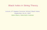 Niels Obers- Black holes in String Theory