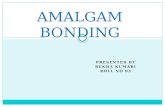 Amalgam Bonding