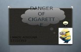 bahaya rokok (danger of cigarette)