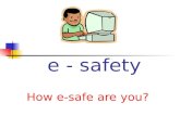 E safety assembly