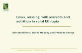 Cows, missing milk markets and nutrition in rural ethiopia