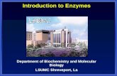 Ch12 enzymes can be taught