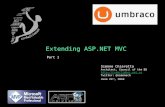 ASP.NET MVC Extensibility