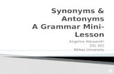 Synonyms & Antonyms, A Grammar Mini-Lesson