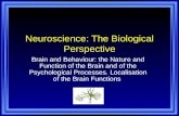 Neuroscience: The Biological Perspective Brain and Behaviour ...