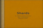 Shards - Presentation